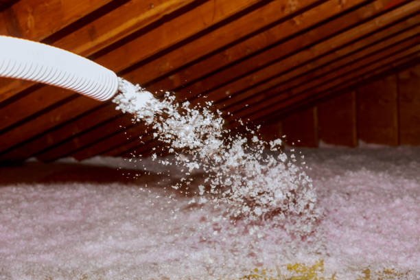 Best Eco-Friendly Insulation in Homeland, CA
