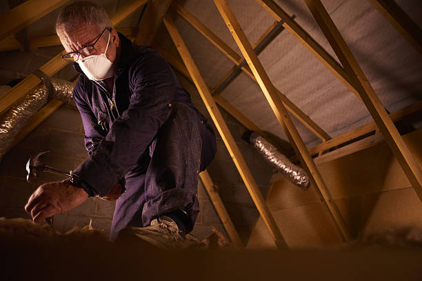 Best Energy Efficiency Insulation in Homeland, CA